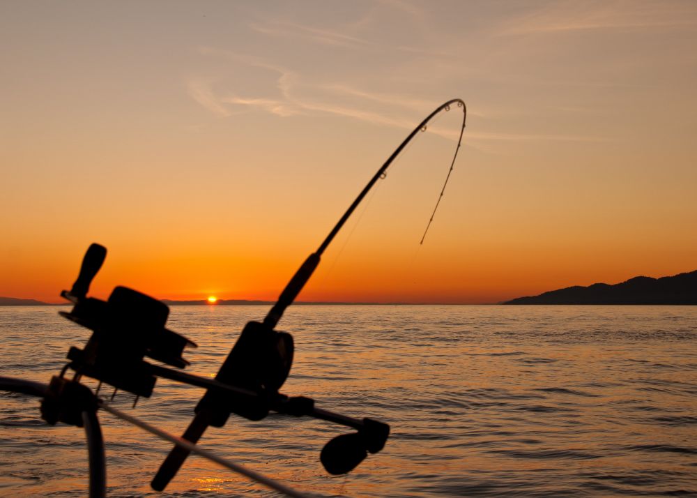 Vælg det rette udstyr til fiskeri